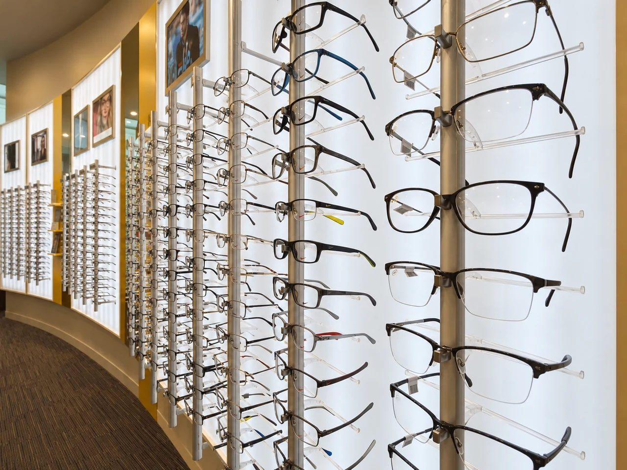 A selection of frames on display at Dannell and Gollop
